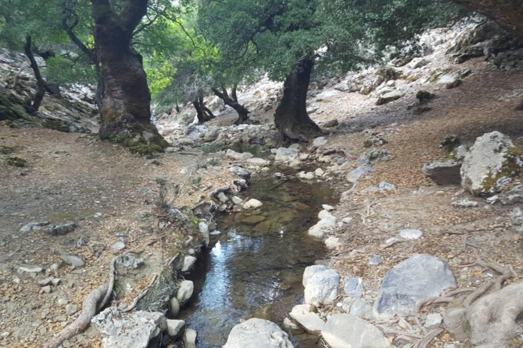 Villa Strata Kardhamiana Bagian luar foto