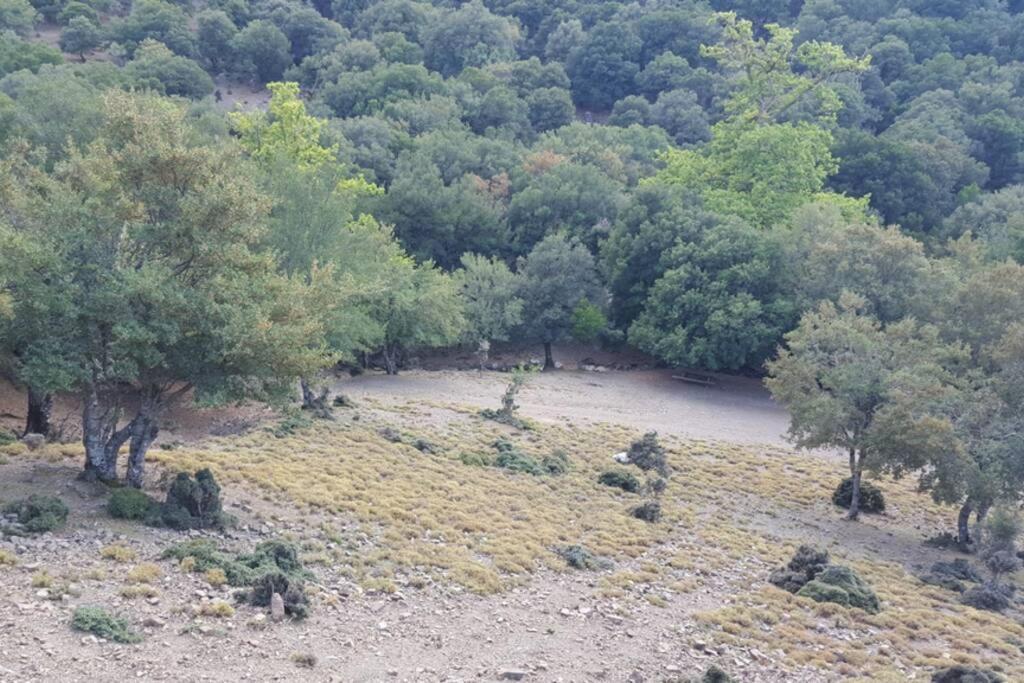 Villa Strata Kardhamiana Bagian luar foto