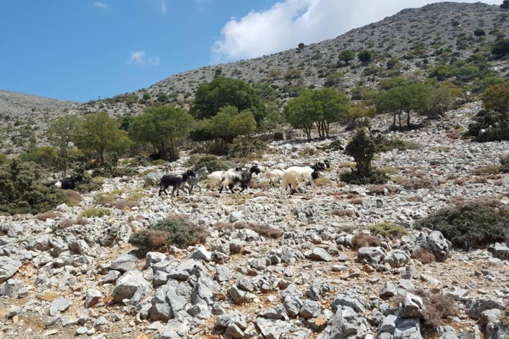 Villa Strata Kardhamiana Bagian luar foto
